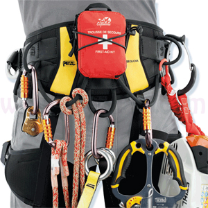 Petzl Climbing Harness 300px